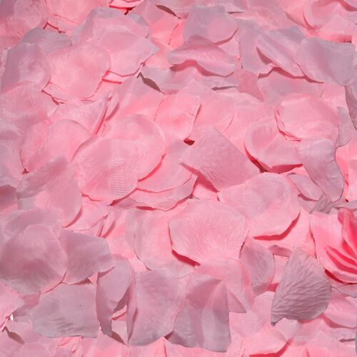 MOMENTO TABU  - 100 PÉTALOS ROSA