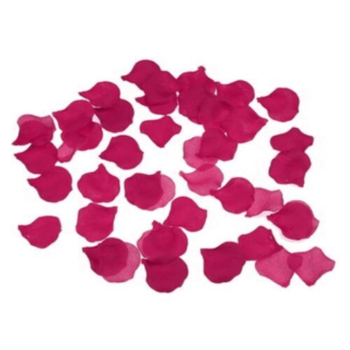 MOMENTO TABU - 100 PÉTALOS FUCSIA