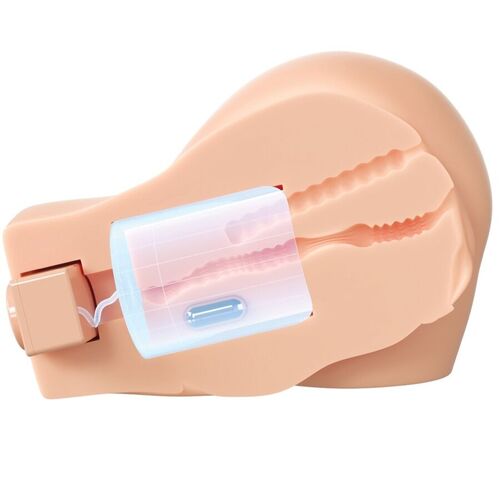 PDX ELITE - BACK THAT ASS UP MASTURBADOR VAGINA Y ANO REALÍSTICO CON VIBRACIÓN